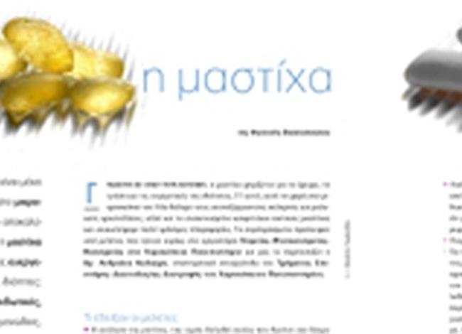 Η μαστίχα Η μαστίχα