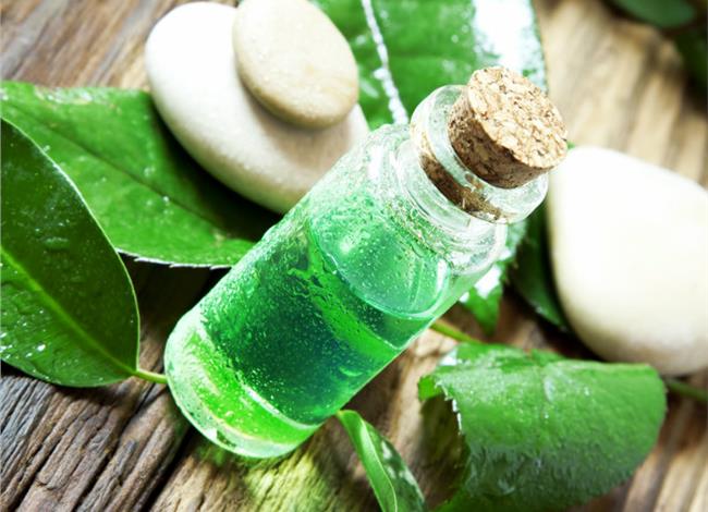 Tea tree: Η σταγόνα που τα κάνει όλα! Tea tree: Η σταγόνα που τα κάνει όλα!