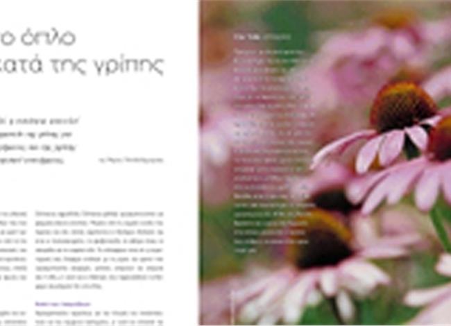 Εχινάκεια το όπλο κατά της γρίπης Εχινάκεια το όπλο κατά της γρίπης