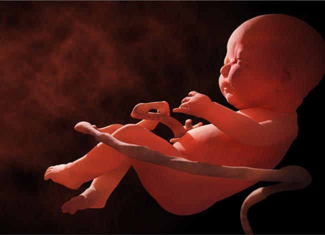 Η τροποποίηση στο DNA εμβρύων είναι γεγονός Η τροποποίηση στο DNA εμβρύων είναι γεγονός