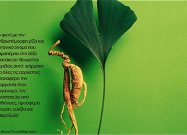 Ginseng, η ρίζα της ζωής! Ginseng, η ρίζα της ζωής!