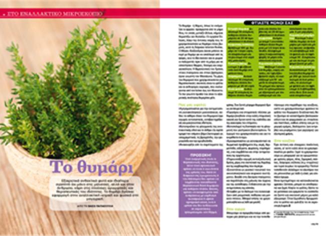 Στο εναλλακτικό μικροσκόπιο το θυμάρι